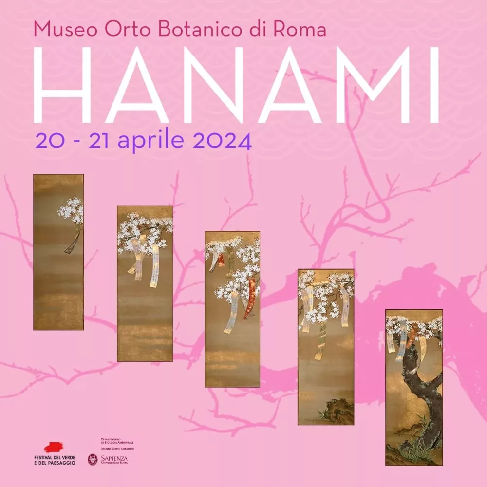 TAKUMI - Hanami 2024 Orto Botanico Roma