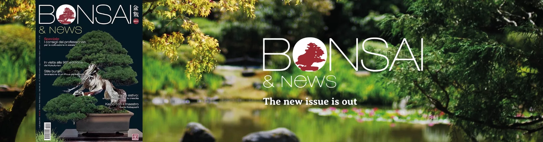 BONSAI and news 204